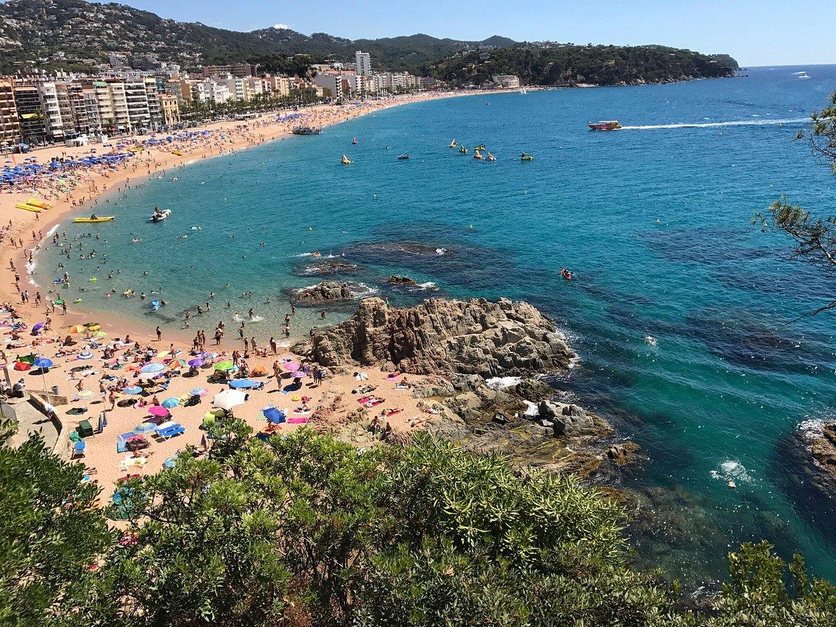 <b>Lloret</b> Beach (2025) - All You Need to Know BEFORE You Go (with ...