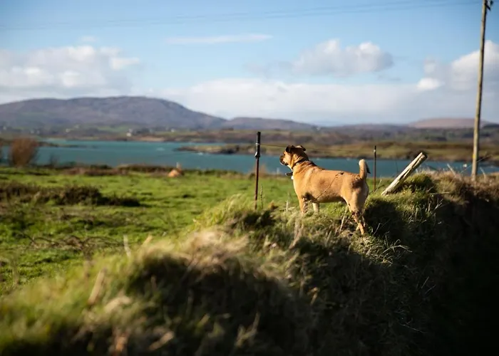 Bed and Breakfasts in Skibbereen