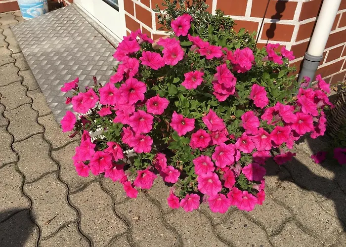 Pensionen in Tangermünde