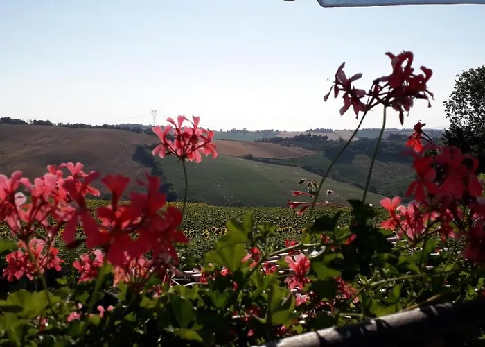 Bed and Breakfast in Senigallia