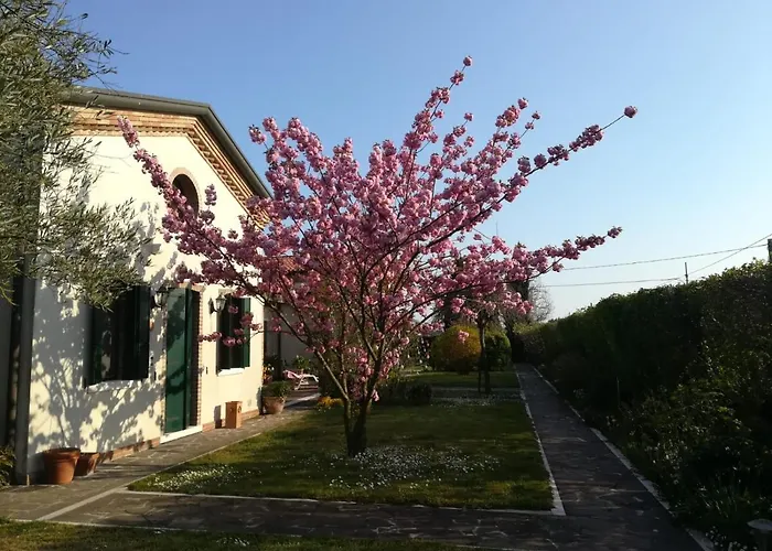 Affittacamere in Cavallino-Treporti