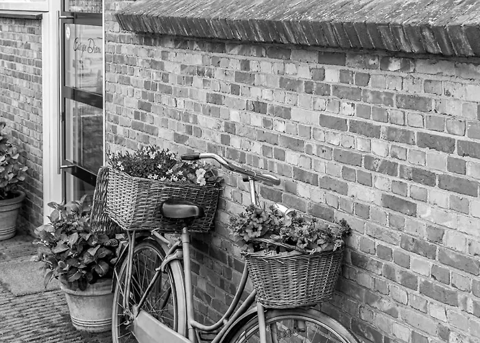 Bed and Breakfast in Hulst