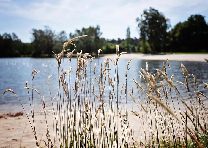 Günstige Hotels in Soltau