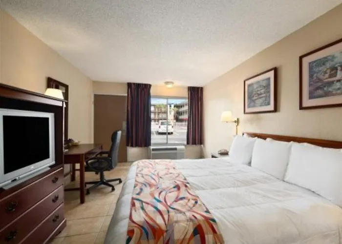 Motels in Lutz