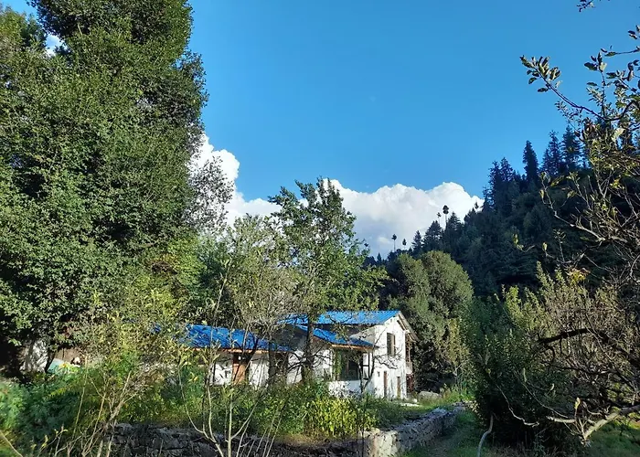 Hostels in Manāli