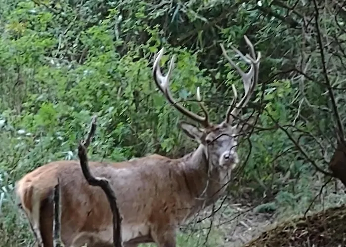 Bed and Breakfast in Lelystad