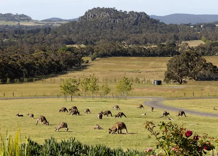 Bed & Breakfast in Woodend