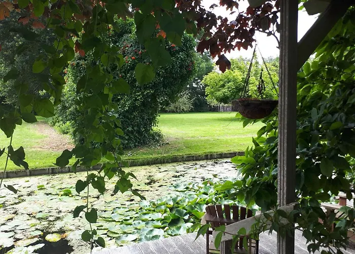 Bed and Breakfast in Andijk
