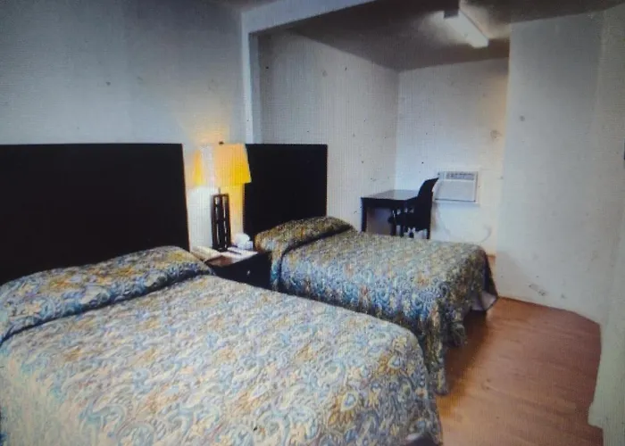 Motels in Freer