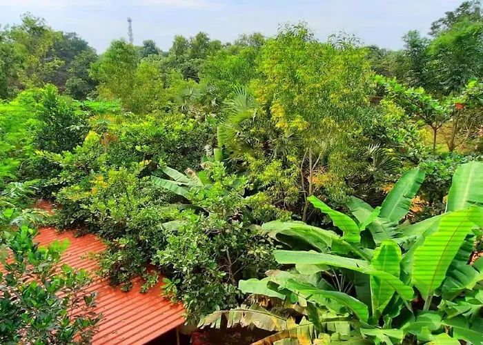 Hostels in Auroville
