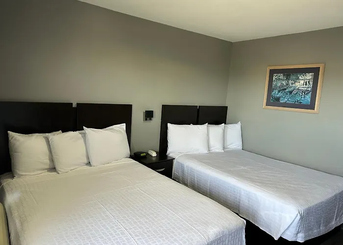 Motels in Groves