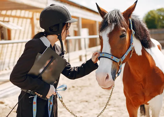Bed and Breakfast in Tropea
