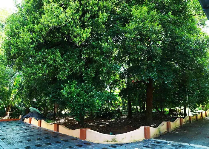 Hostels in Kochi