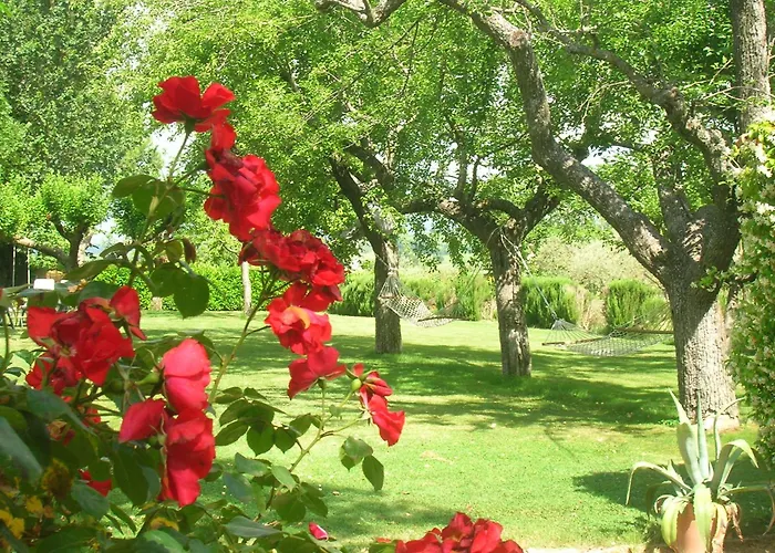 Hotel Economici in Montefalco
