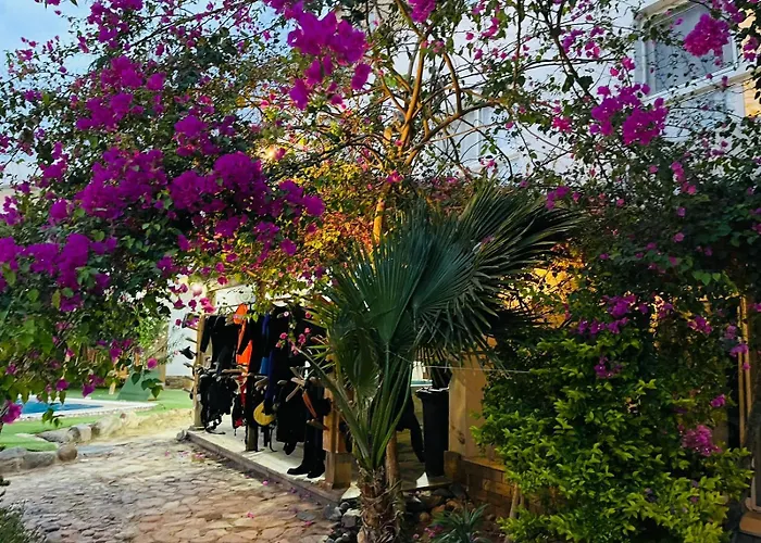 Hostels in Dahab