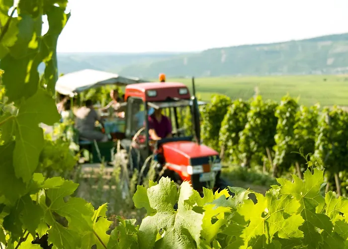 Pensions in Leiwen