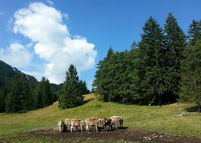 Pensions in Nesselwang