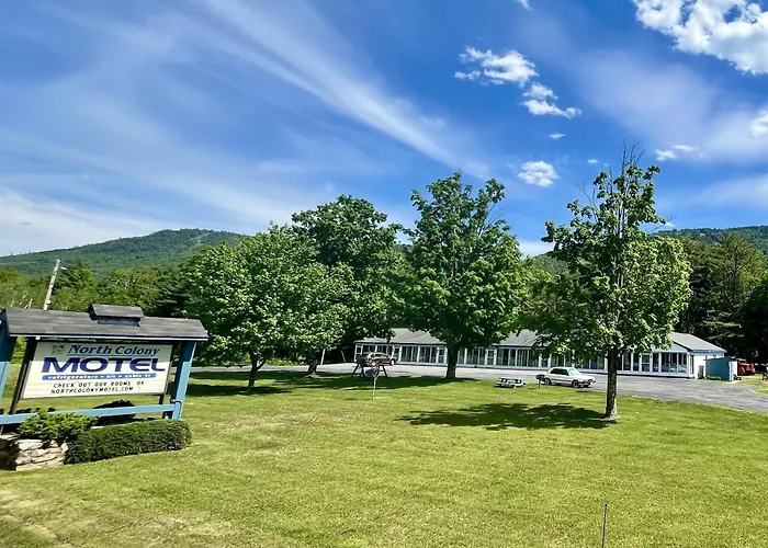 Motels in Bartlett
