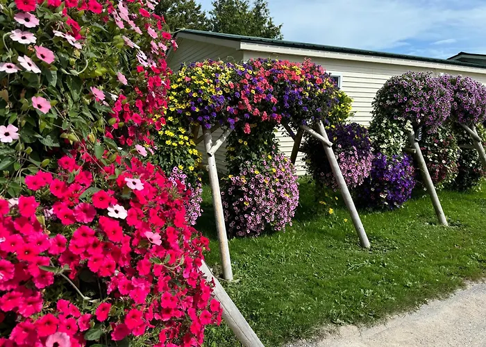 Motels in Brimley