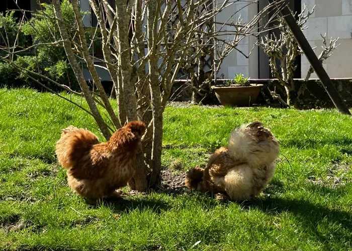 Top 10 Bed and Breakfast in Saumur