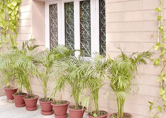 Bed & Breakfast in Chandigarh
