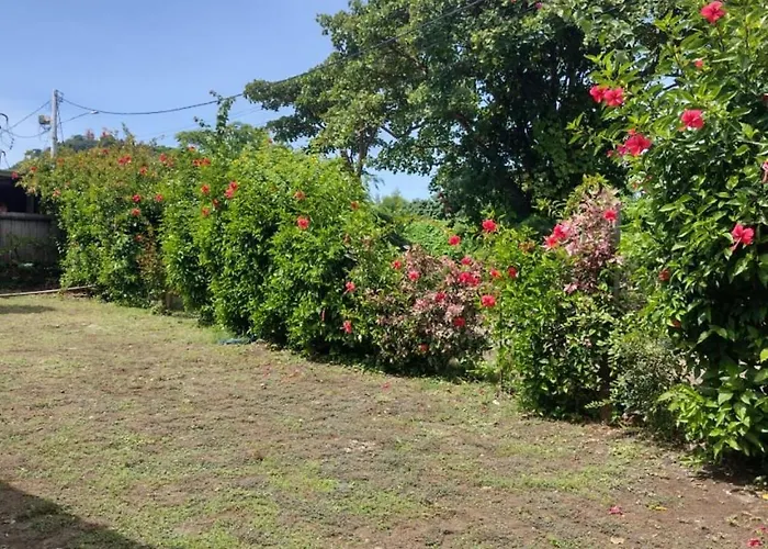 Pensions in Fernando de Noronha