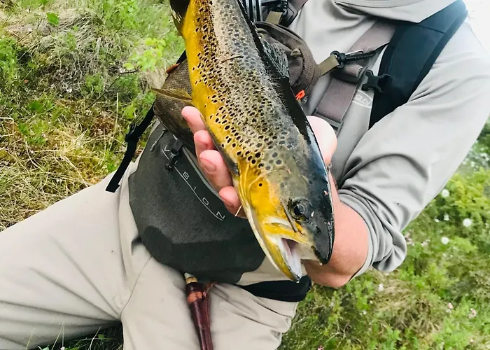 Vandrarhem i Borgafjäll