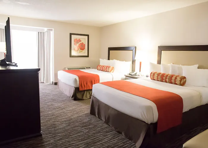 Cheap Hotels in Hamilton