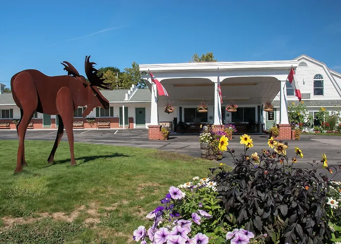 Motels in Errol
