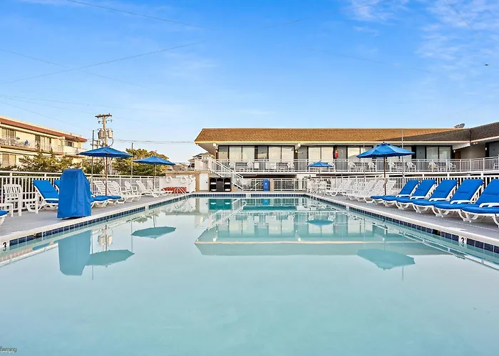 Motels in Pine Hill