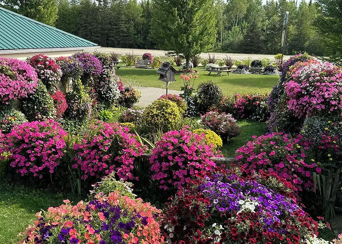 Motels in Brevort