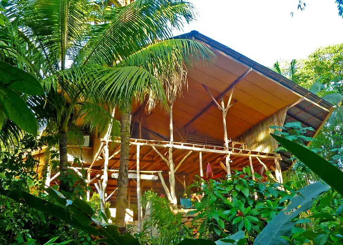 Albergues en Uvita