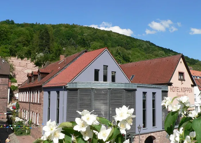 Günstige Hotels in Gemunden am Main