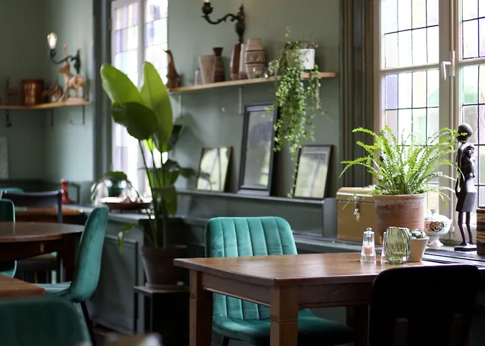 Goedkope Hotels in Vorden