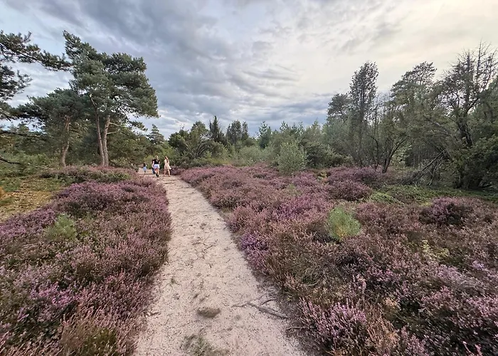 Bed and Breakfast in Nijverdal