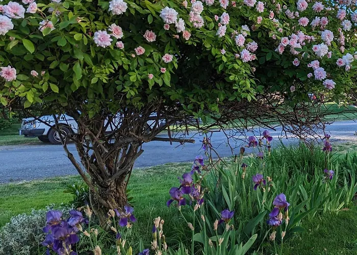 B&B in Poulsbo
