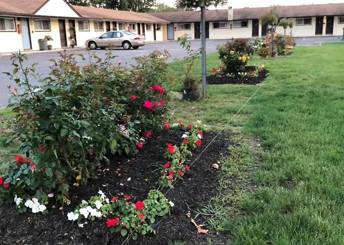 Motels in Shirley