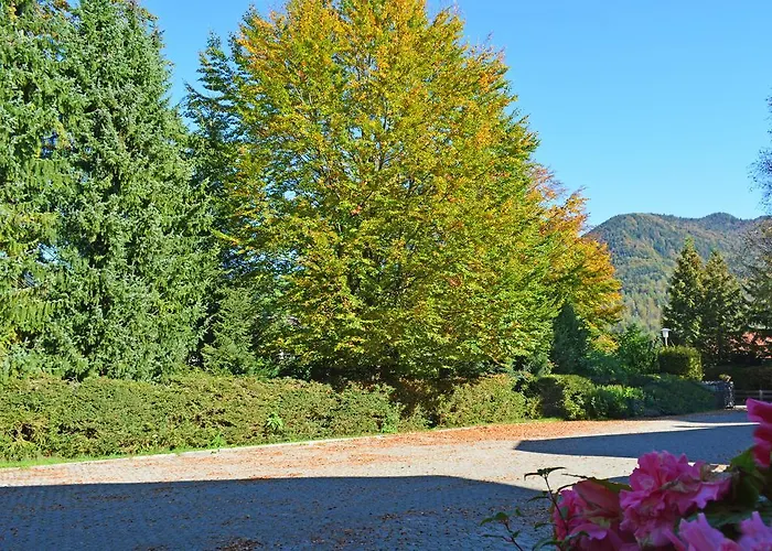Günstige Hotels in Rotta