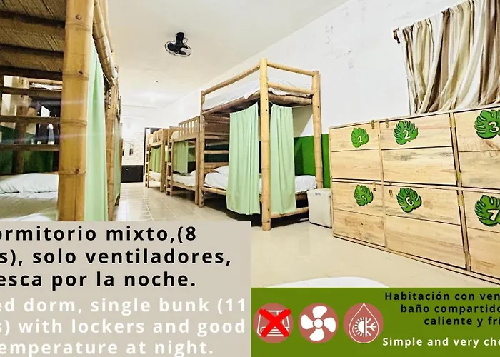 Guest Houses in Palenque