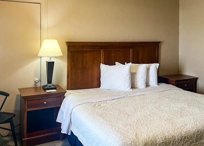 Motels in Williamston
