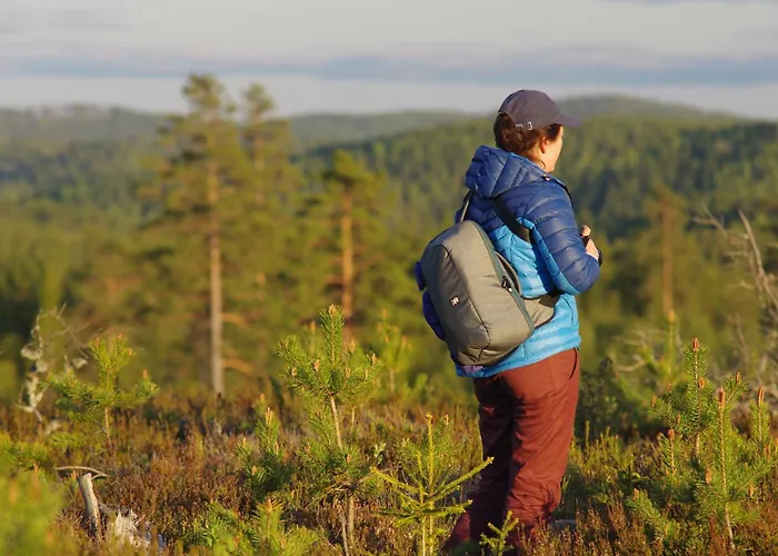 Vandrarhem i Ludvika