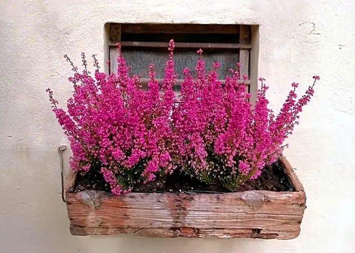 Bed and Breakfast a Savio di Ravenna