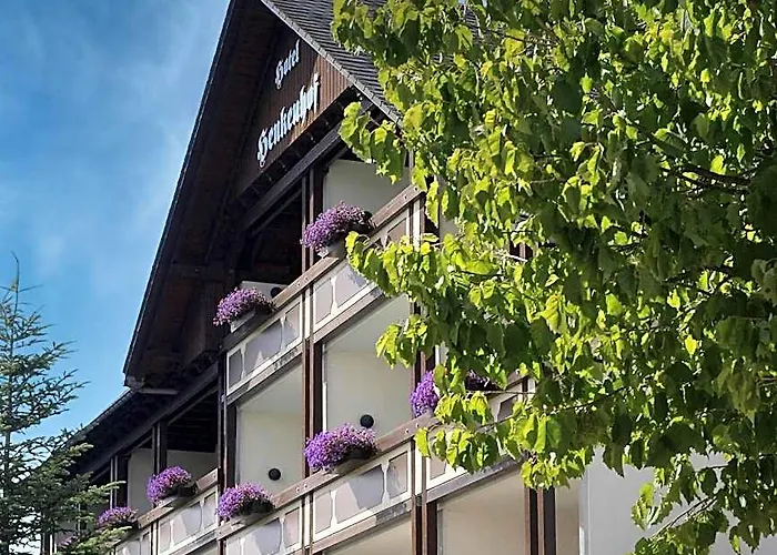 Günstige Hotels in Willingen (Upland)