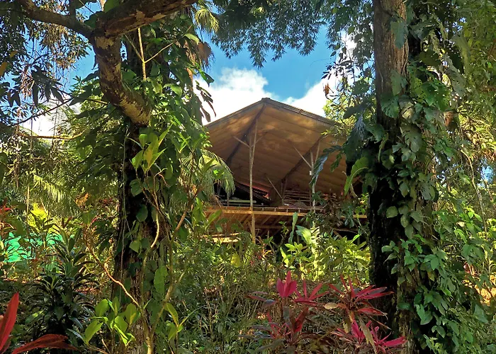 Hostels in Uvita