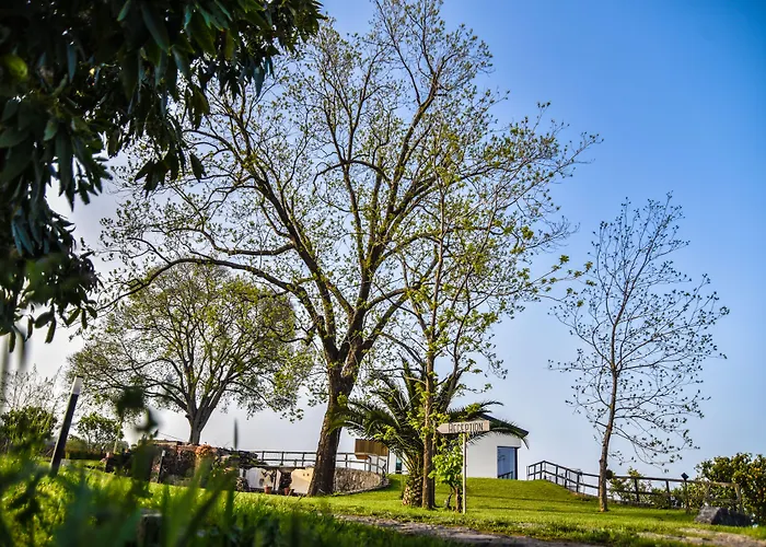 Bed and Breakfast a Mascali