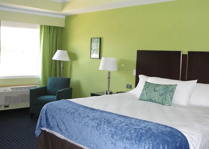 Motels in Williston