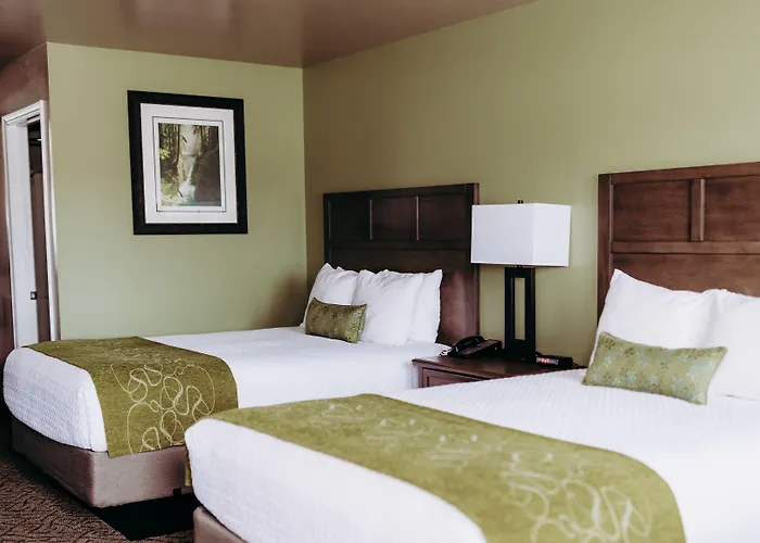 Motels in La Push