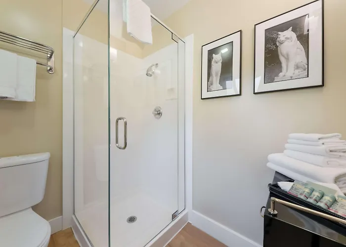 Motels in Los Gatos