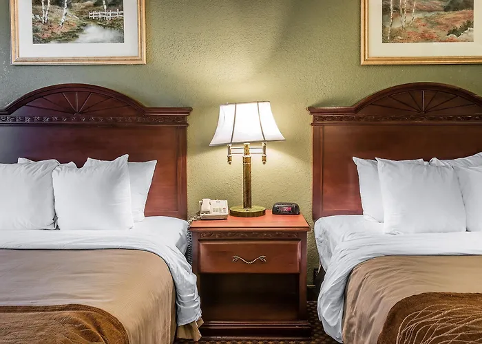 Cheap Hotels in Ann Arbor