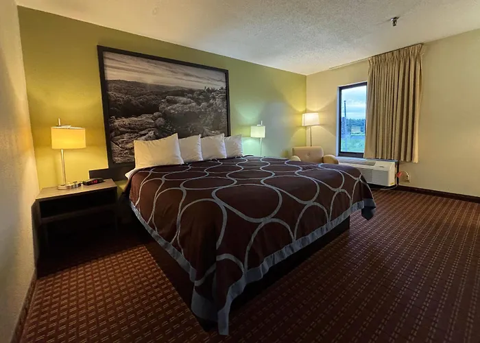 Motels in Metropolis